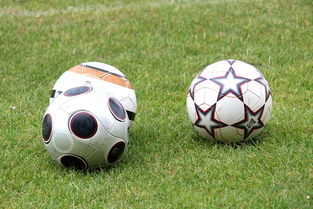 开云·体育官方网站入口-基层足球俱乐部资金短缺，基层足球俱乐部资金短缺的原因